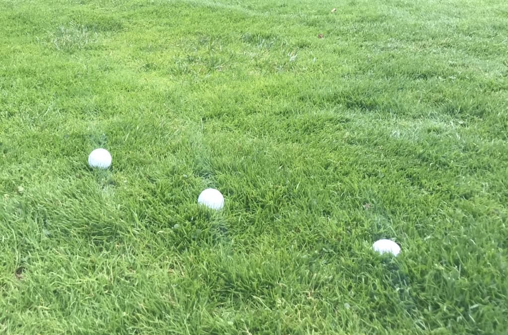 Different lies on the course