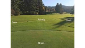 Fairway